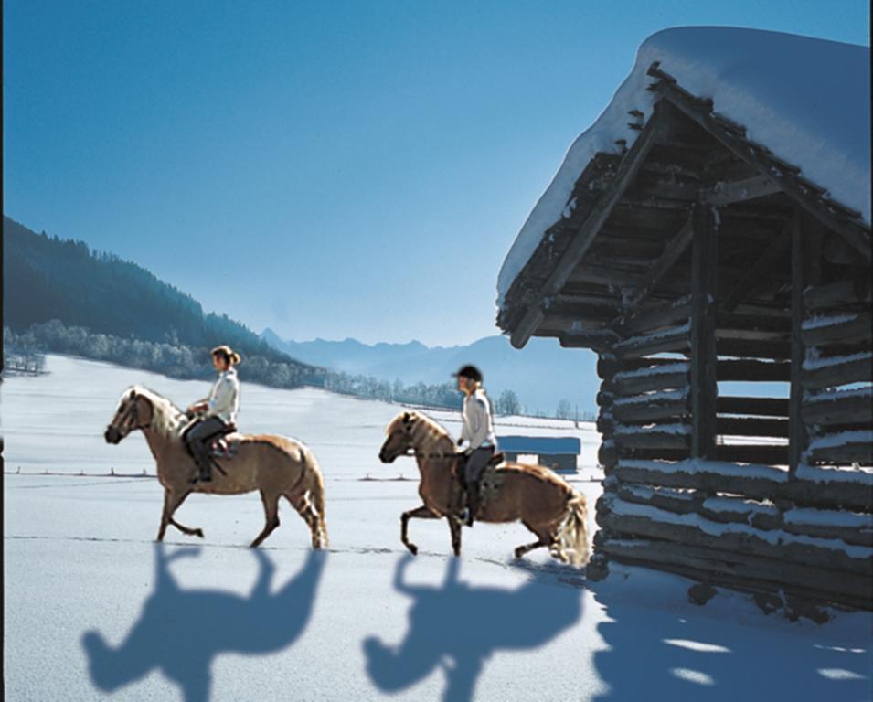 Hotel Schoerhof Saalfelden Buitenkant foto
