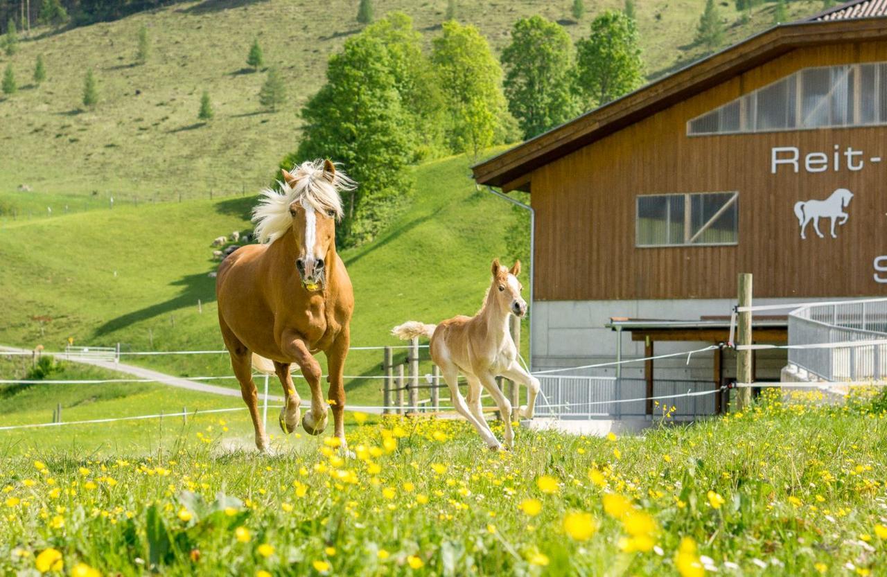Hotel Schoerhof Saalfelden Buitenkant foto